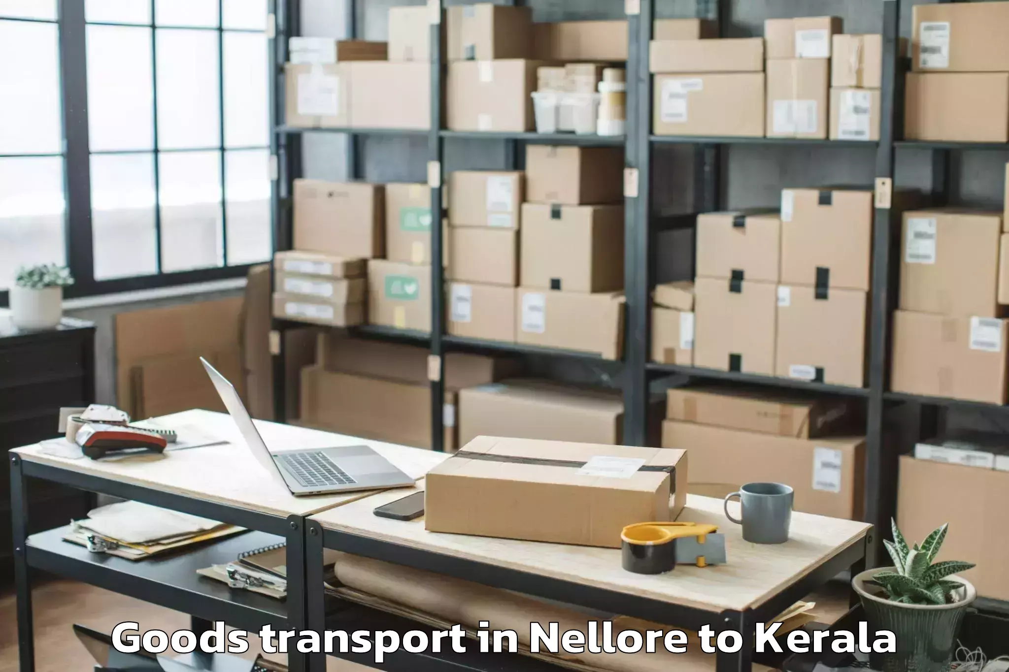 Comprehensive Nellore to Mall Of Joy Kottayam Goods Transport